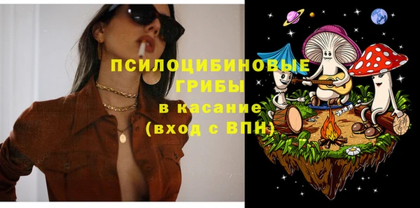 ГАЛЛЮЦИНОГЕННЫЕ ГРИБЫ Абдулино