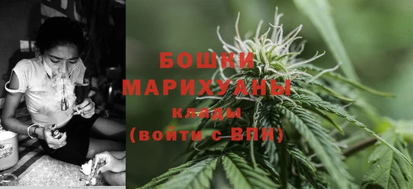 ГАЛЛЮЦИНОГЕННЫЕ ГРИБЫ Абдулино